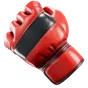 MMA